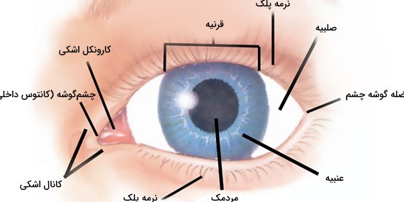 کلینیک چشم پزشکی