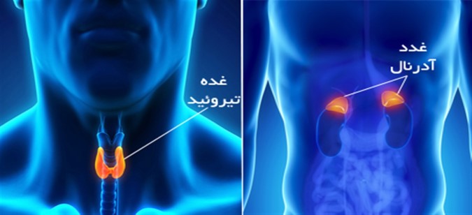 کلینیک غدد